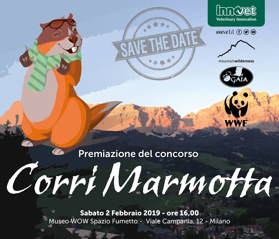 premiazione corri marmotta 50829544_416375485797853_423442977491255296_n